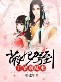 萌妃驾到:王爷别乱来
